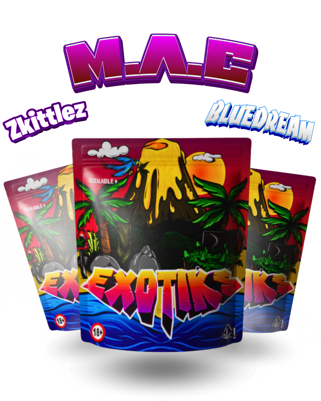 Pack découverte INDOOR