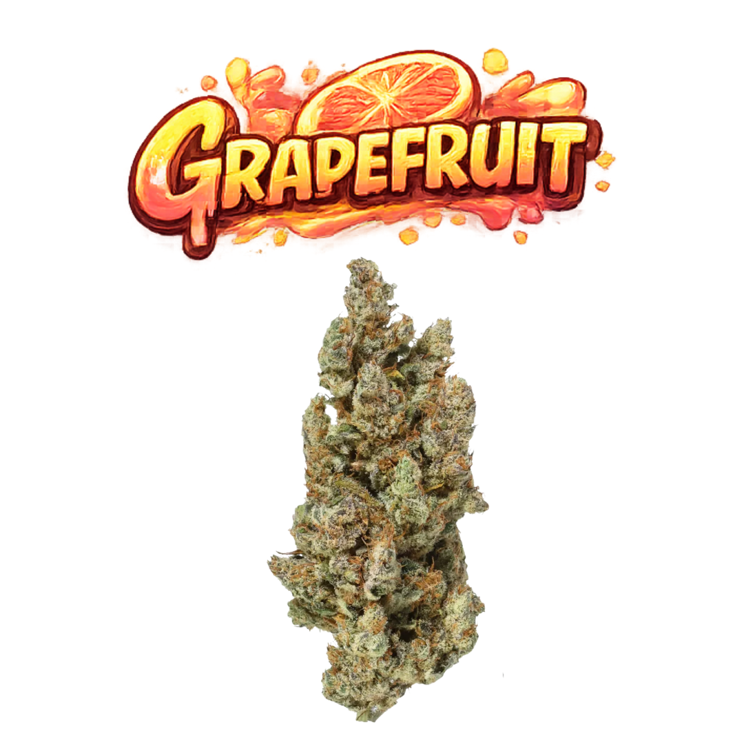 Grapefruit
