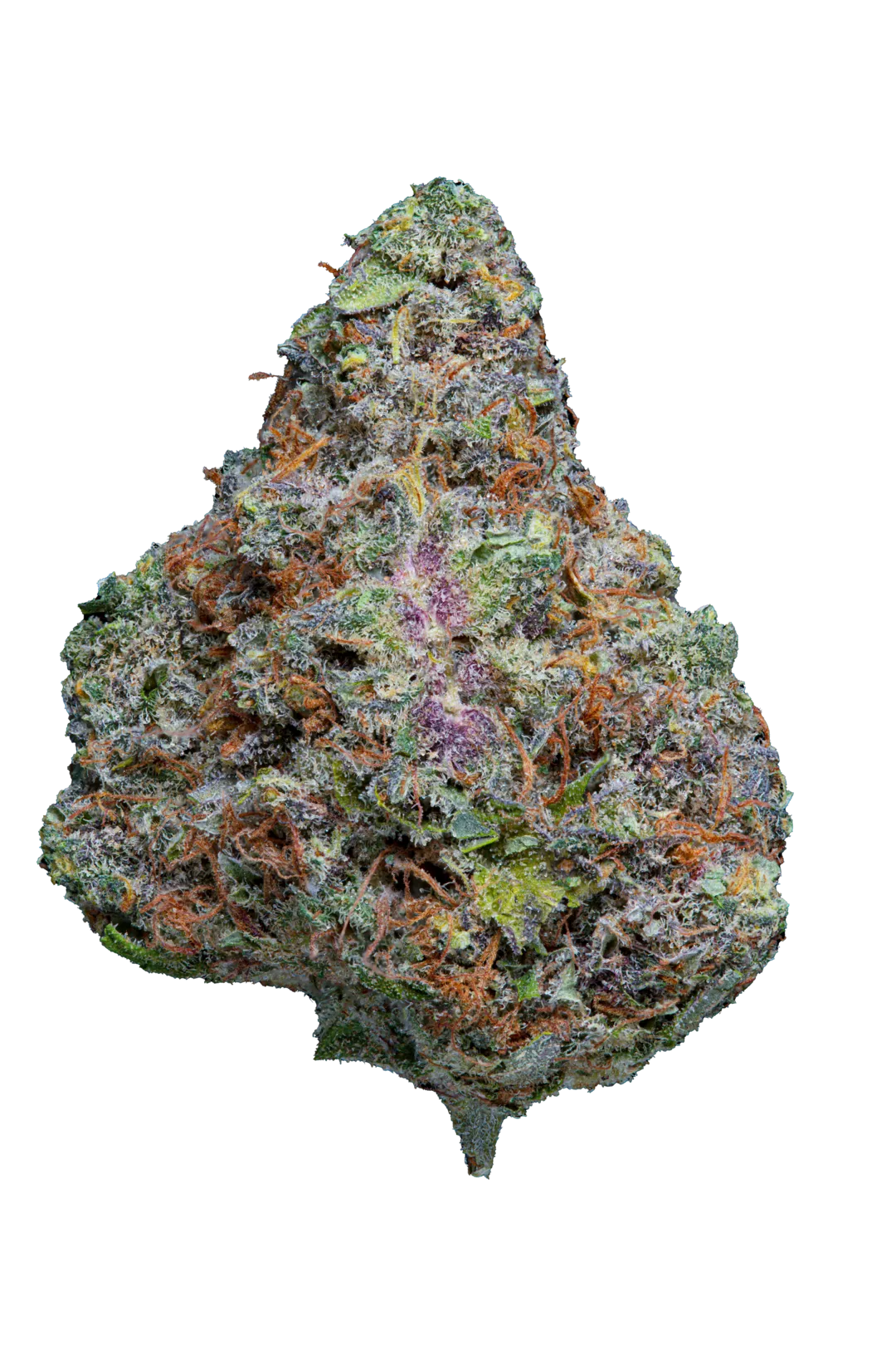Fleur Bangkok Blaze CBD vue rapprochée