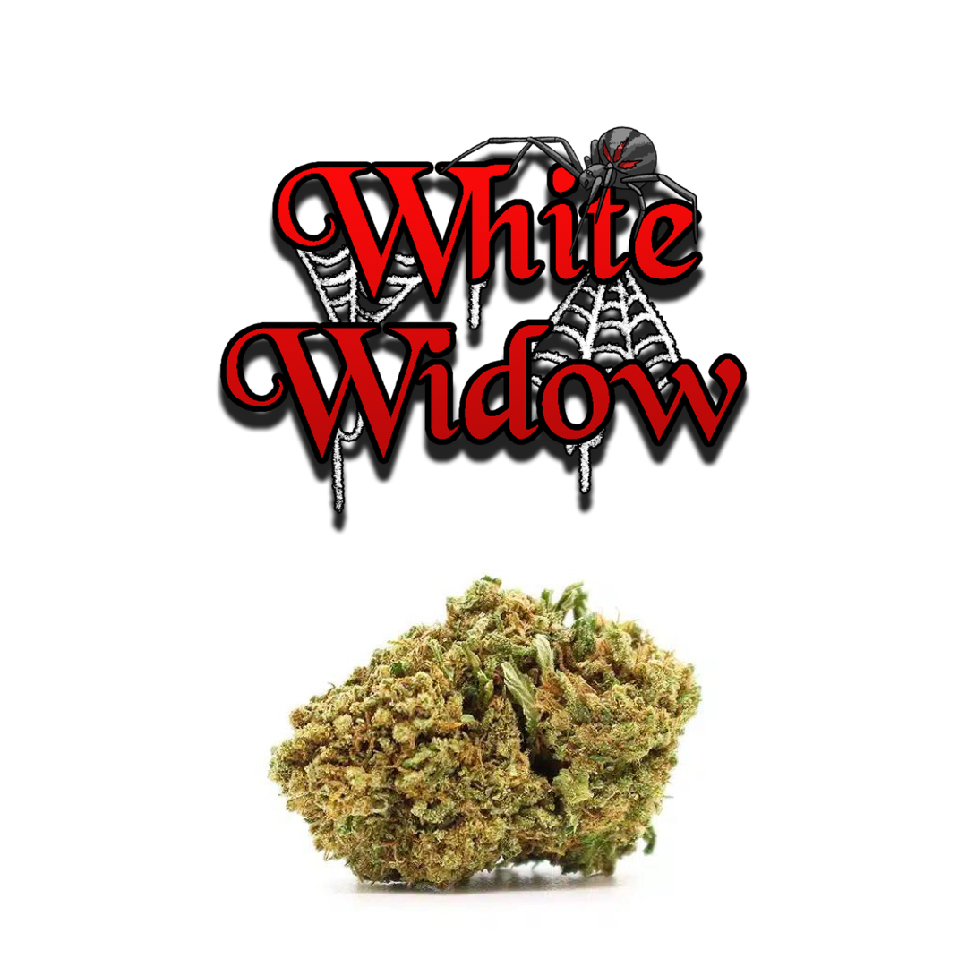 White Widow