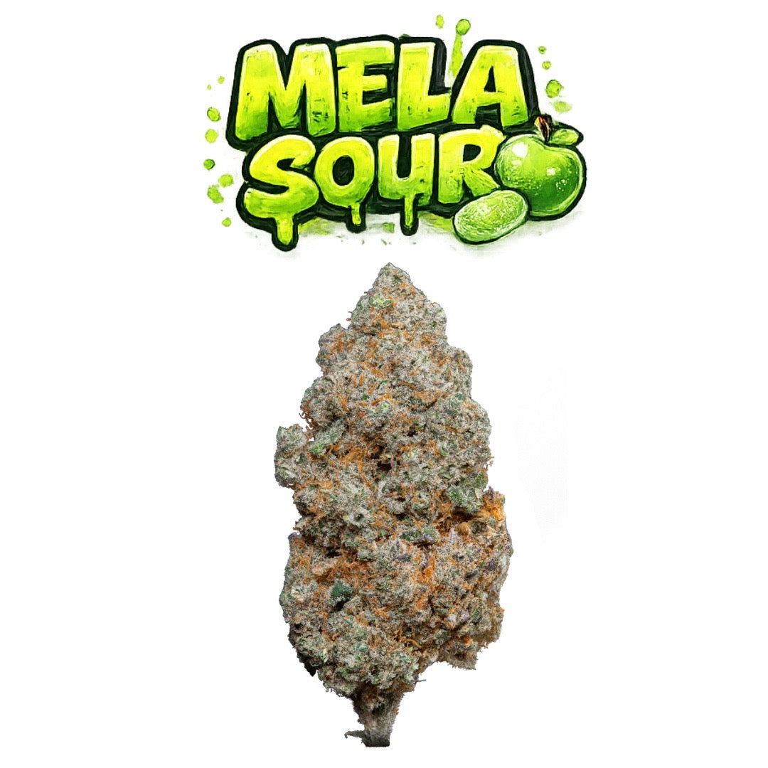 Mela Sour CBD - visuel final Exotiks