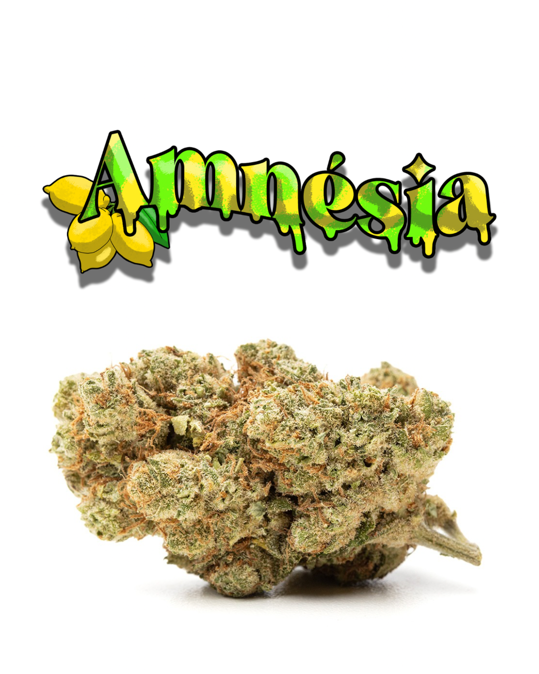 Amnesia
