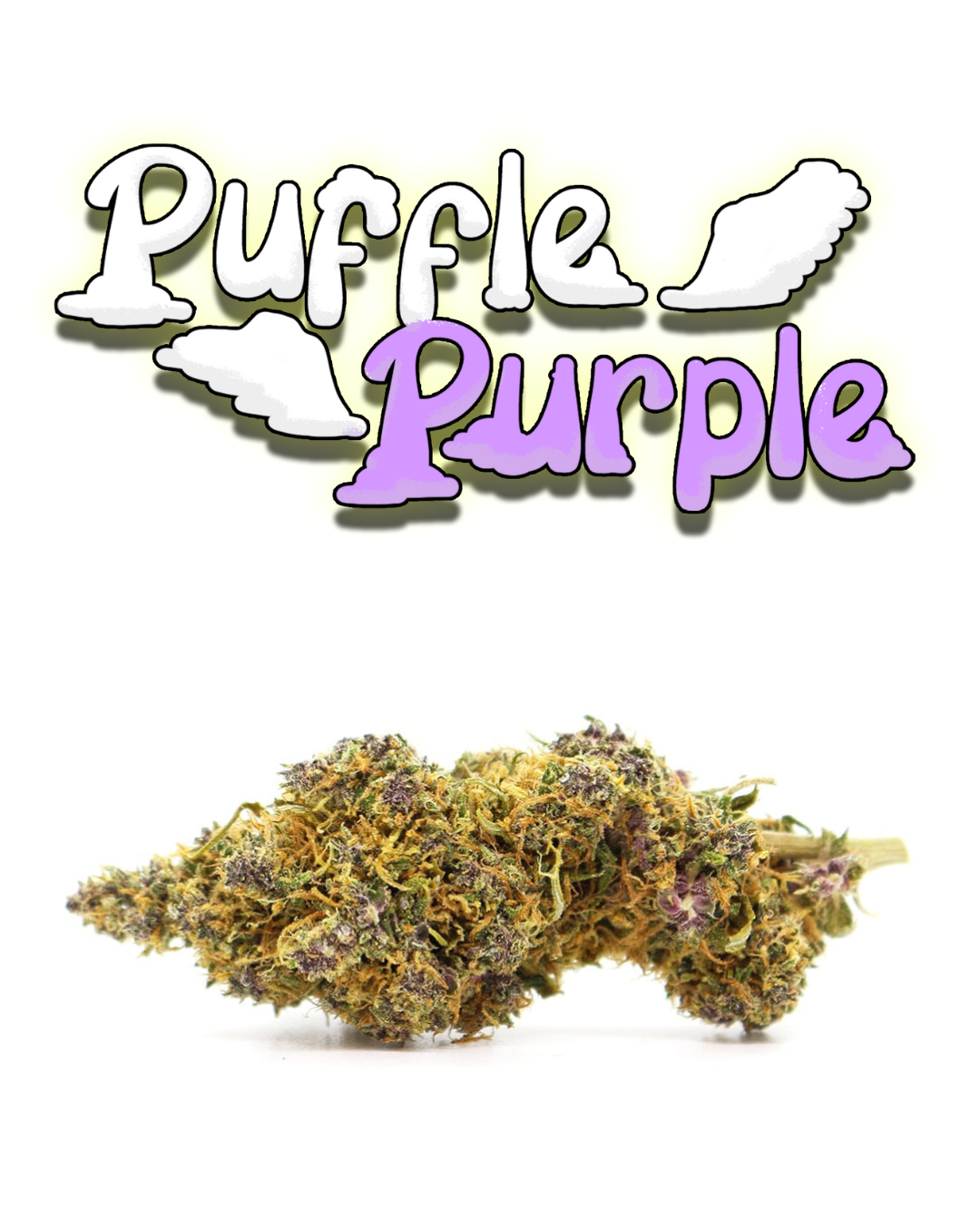 Puffle Purple