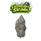 Legendary Skunk