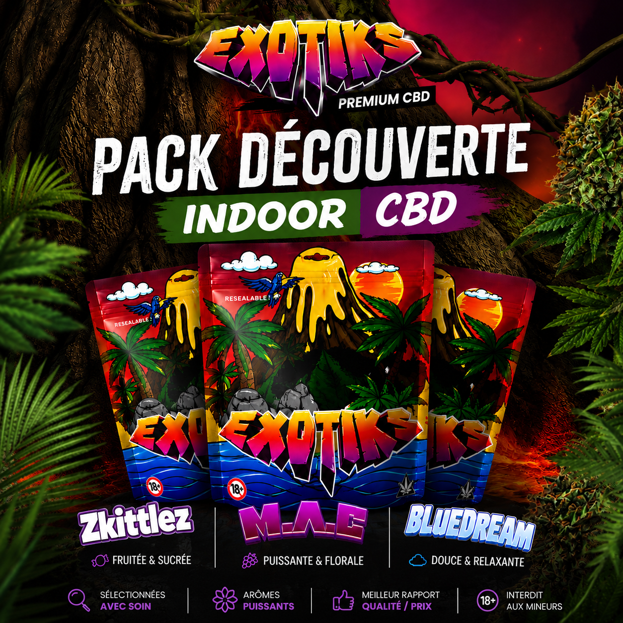 Pack découverte INDOOR CBD