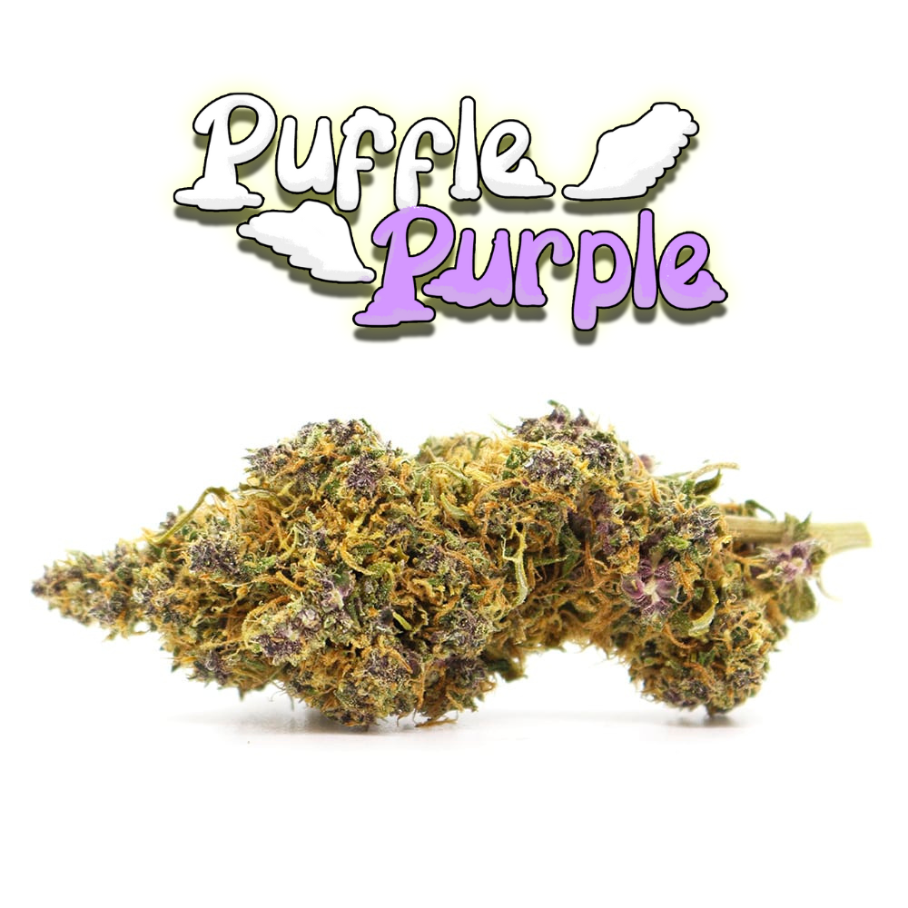 PRÉ ROULÉ PUFFLE PURPLE